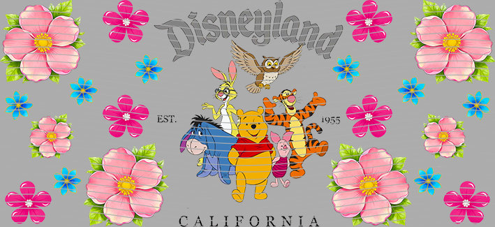 16oz Disney style-D-2030